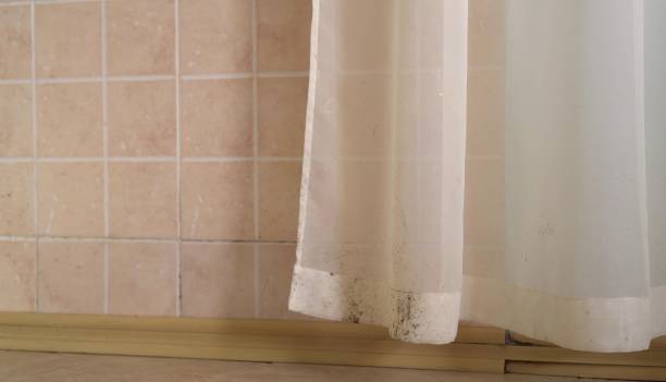 Best Commercial Mold Inspection  in Newcastle, WY