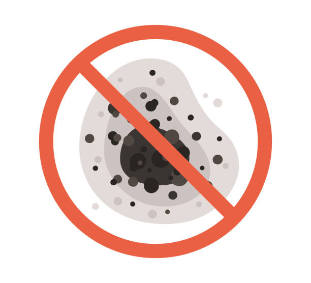 Best Mold Prevention Services  in Newcastle, WY